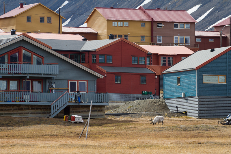 Kleurrijke huizen Longyearbyen